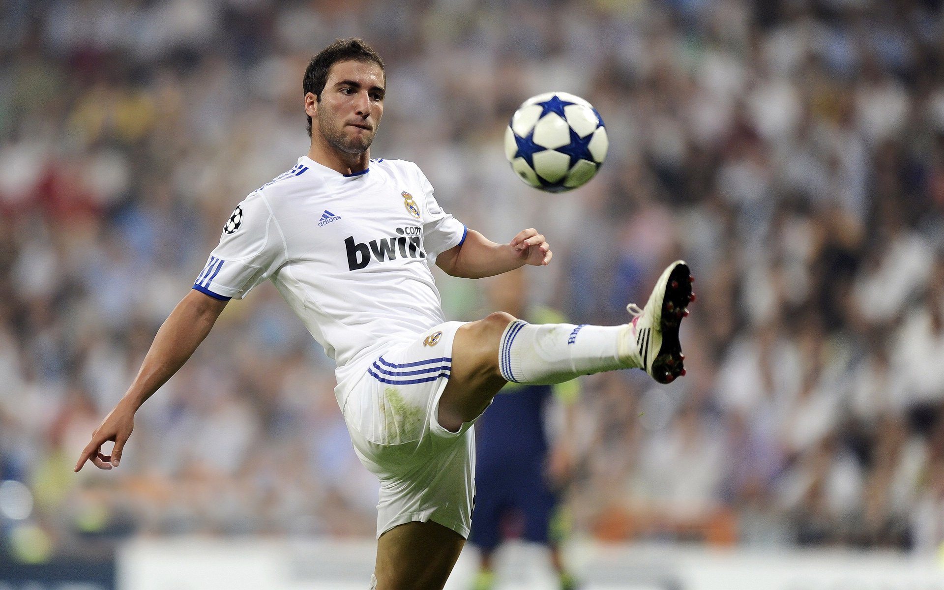 布鲁诺·卡博克洛成为NBA全球球迷偶像，布洛克vs卡里