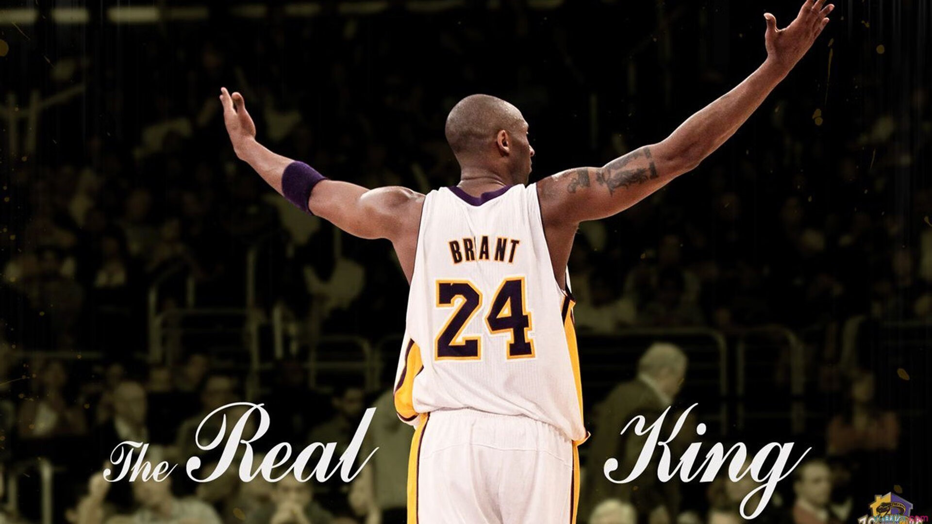 星际争霸2年度世界冠军争夺战精彩纷呈,星际争霸2总决赛2021